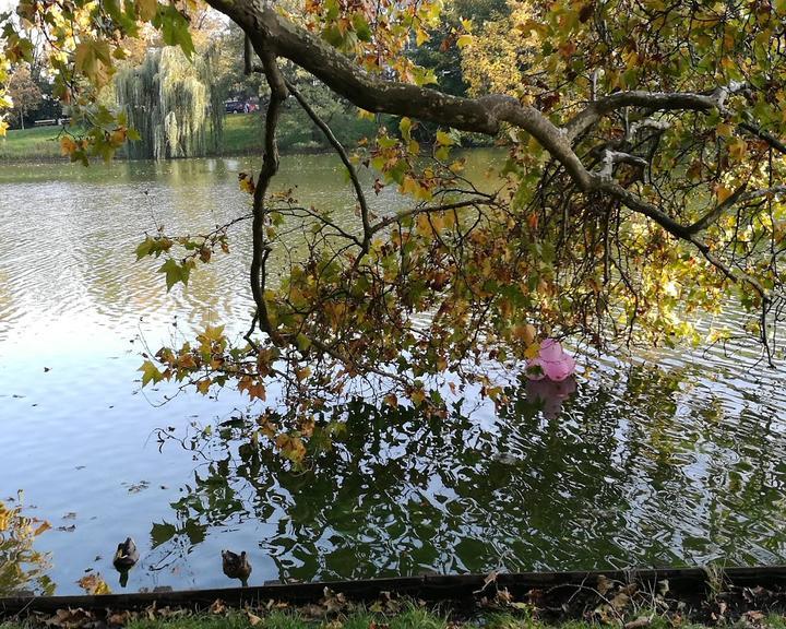 Bootshaus Stella am Lietzensee