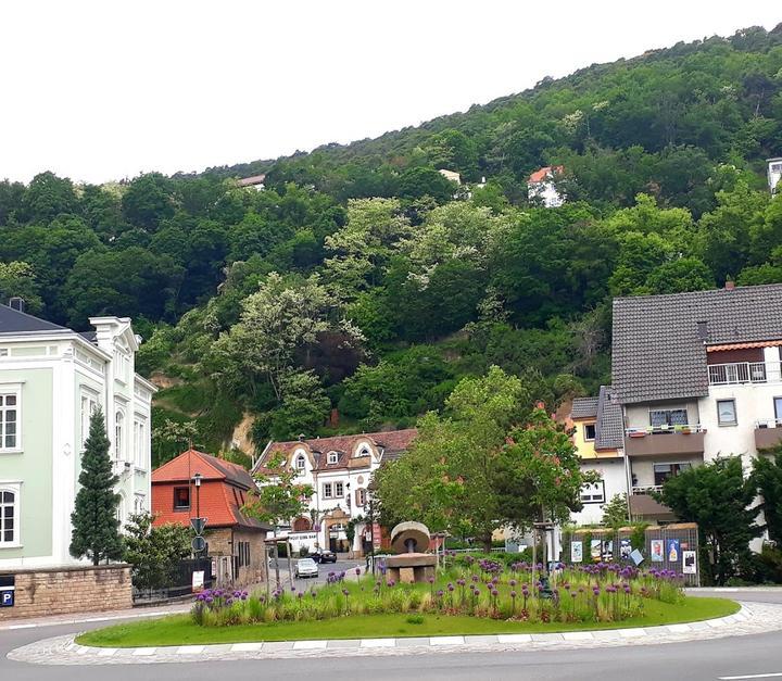 Weingut Zum Stein